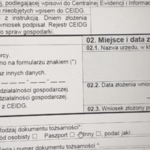 Jak wypełnić wniosek CEIDG?