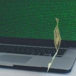 Windykacja online - jak szybko odzyskać pieniądze?