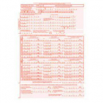 ZUS DRA – kiedy trzeba składać?