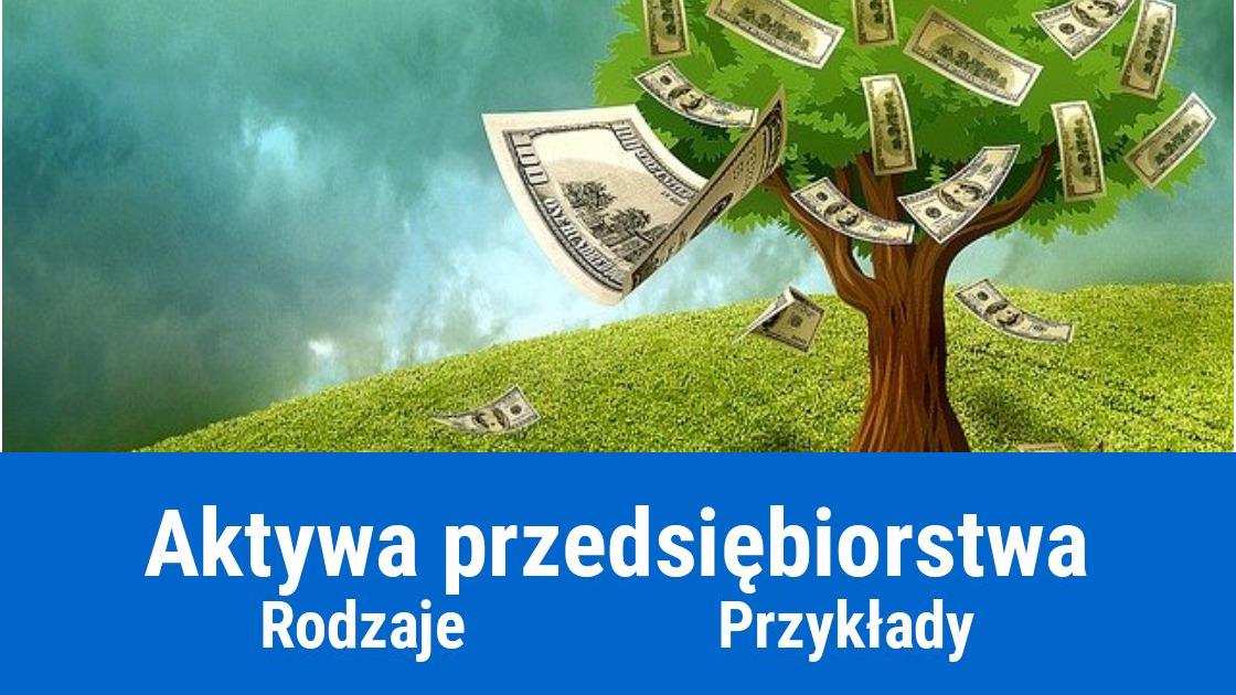 Co to są aktywa? Rodzaje i przykłady