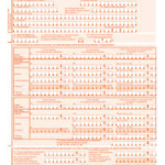 Deklaracje i formularze ZUS