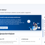 E-Urząd Skarbowy, jak się zalogować i skorzystać?
