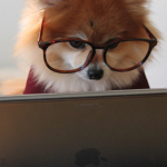 Faktura korygująca błąd i oczywistą pomyłkę