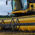 Jak rozliczyć fakturę VAT-RR?