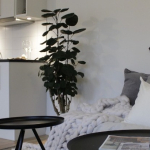 Jak rozwiązać umowę najmu na czas określony?