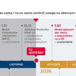 Jak uzyskać dostęp do KSeF, krok po kroku