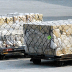 Jak uzyskać numer EORI?