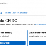 Jak wypełnić wniosek CEIDG, przykładowy wzór