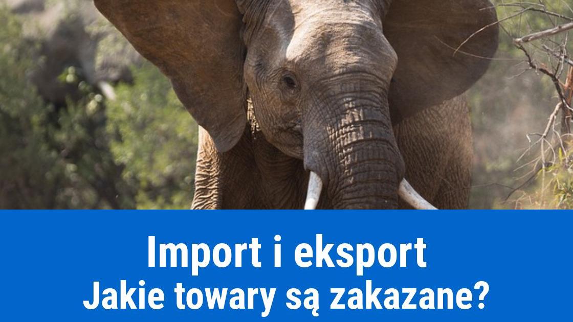 Jakich towarów nie można importować i eksportować?