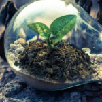 Kontrola Inspekcji Ochrony Środowiska, co kontroluje?