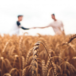 Korekta faktury VAT RR