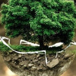 Jak zaksięgować opłatę środowiskową?