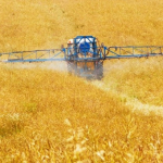 Kwota wolna od podatku dla rolnika