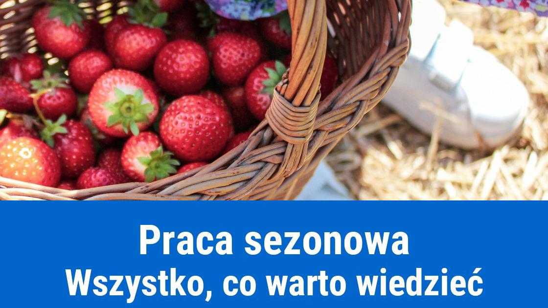 Praca sezonowa, na czym polega?