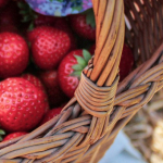 Praca sezonowa, na czym polega?