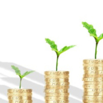 Pracownicze plany kapitałowe, obowiązek i terminy