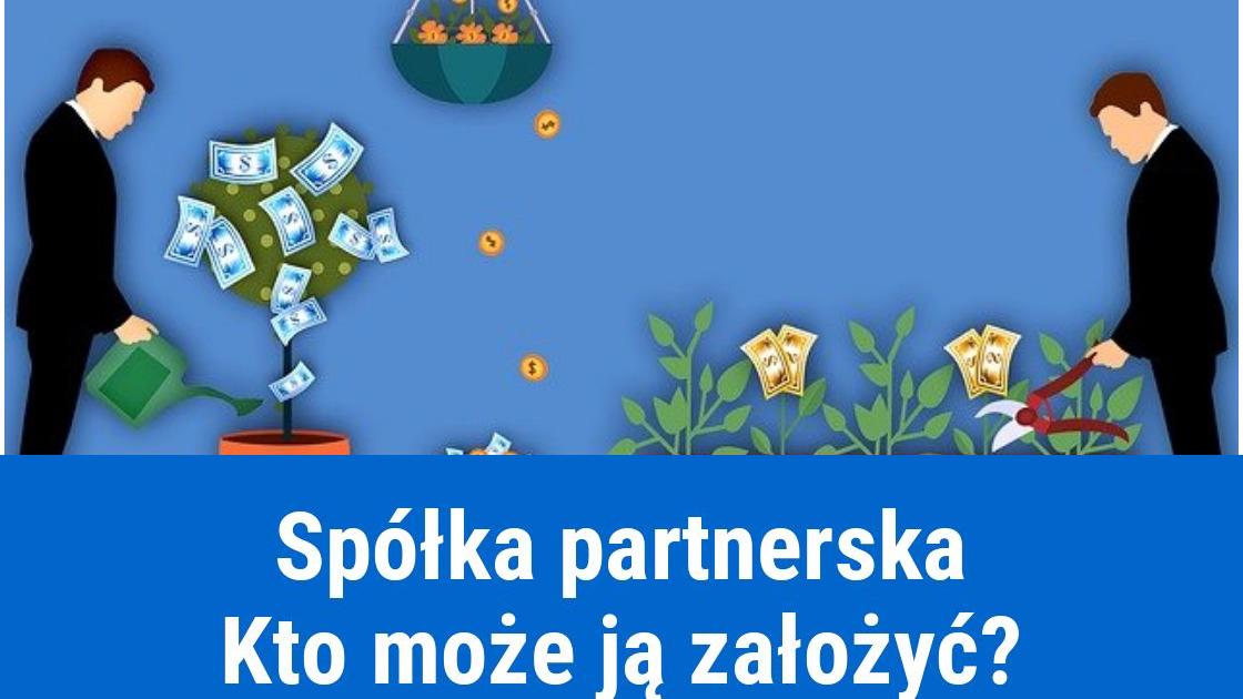 Spółka partnerska, zalety i wady