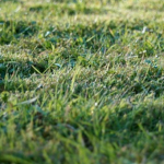 Sprzedaż działek jako działalność gospodarcza