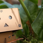 Sprzedaż przez Amazon, a rozliczenie podatku VAT