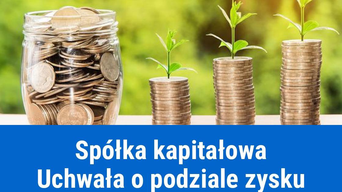 Uchwała o podziale zysku i dywidendzie w spółce