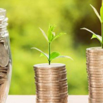 Uchwała o podziale zysku i dywidendzie w spółce