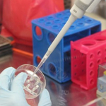 Ulga B + R korzyści i zasady