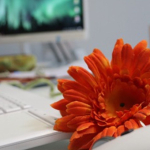 Wycofanie komputera z firmy, a podatek dochodowy i VAT