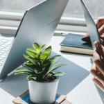 Zalety i wady różnych form działalności