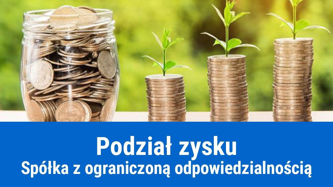 Zasady podziału zysku w spółce z o. o.