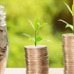 Zasady podziału zysku w spółce z o. o.