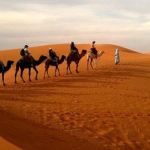 Zwolnienie przedmiotowe z VAT w turystyce